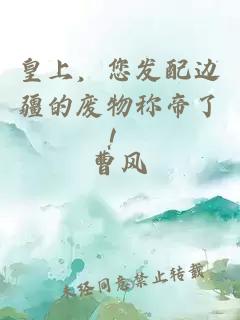皇上，您发配边疆的废物称帝了！