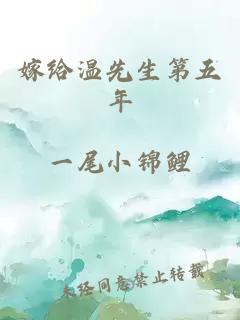 嫁给温先生第五年