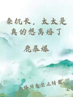 秦机长，太太是真的想离婚了