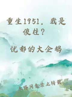 重生1951，我是傻柱？