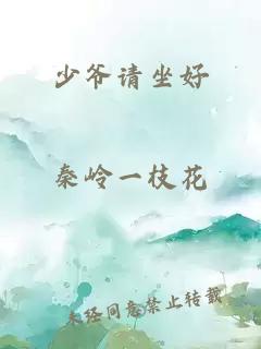 少爷请坐好